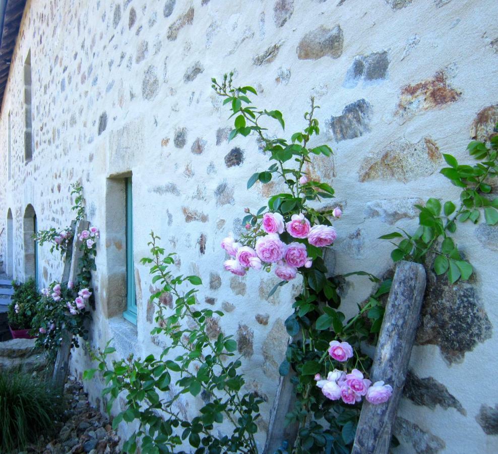 Bed and Breakfast Les 5 Petits Lapins Bar Exteriér fotografie